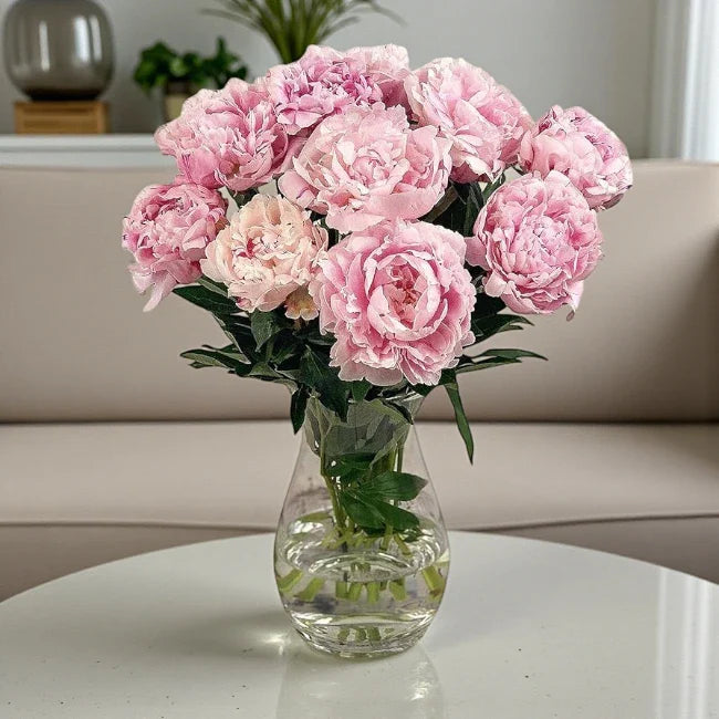 Peonies Delivery in Kuwait – Flower Shop Kuwait