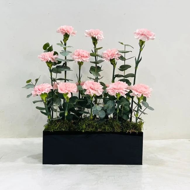 Carnations Box Arrangement