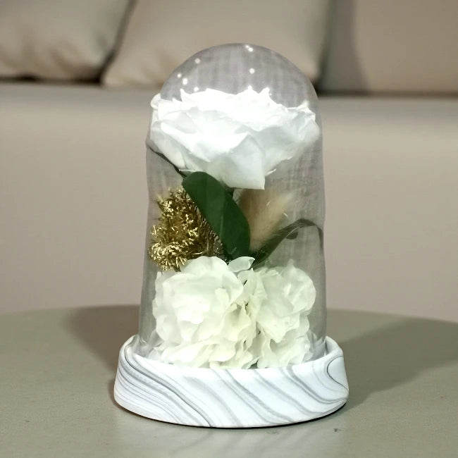 Everlasting White Rose