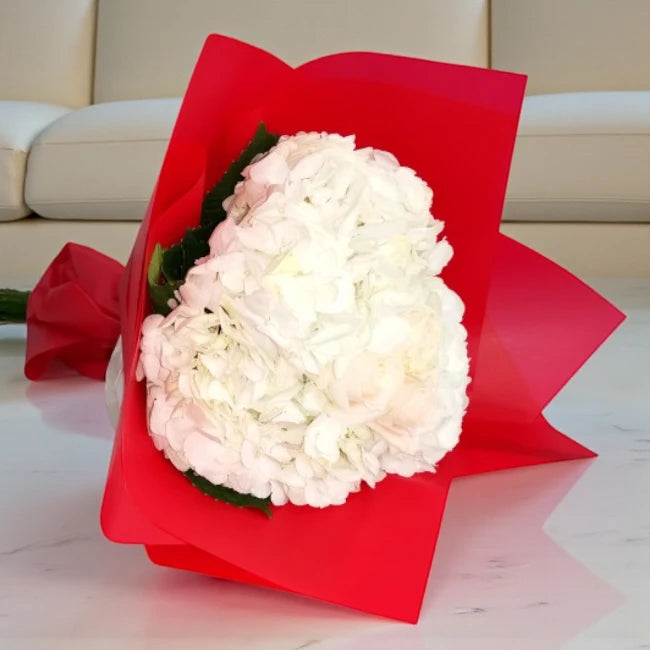 Hydrangea Bouquet