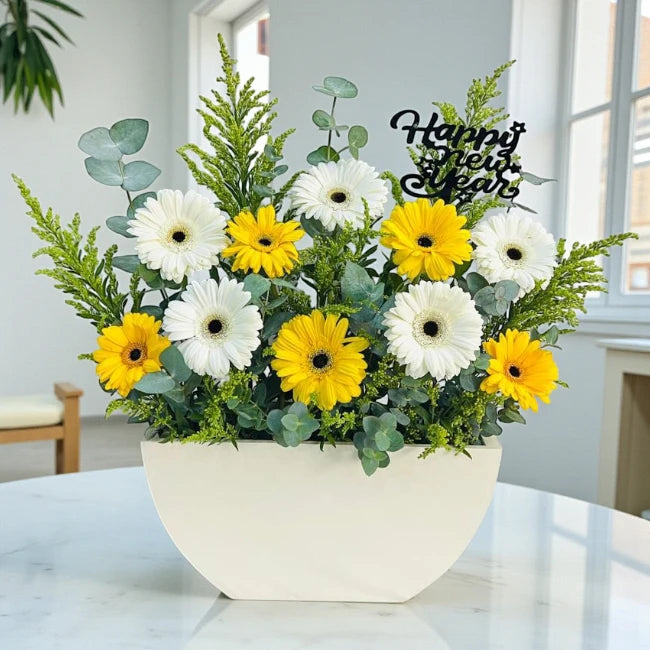 New Year Blooming Gerberas