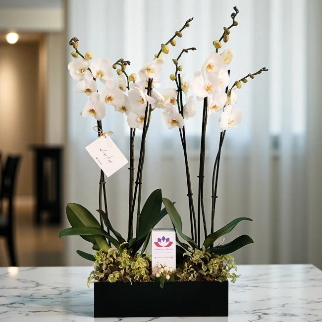 Scented Eid Memories